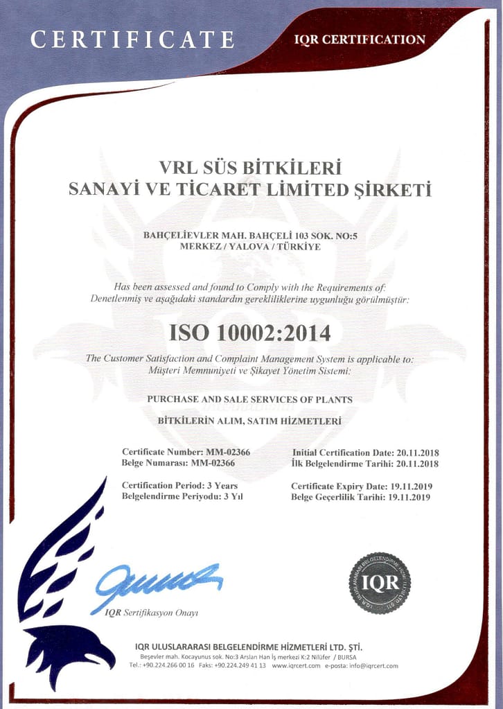 ISO10002